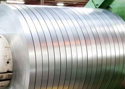 Stainless Steel 444 Strips