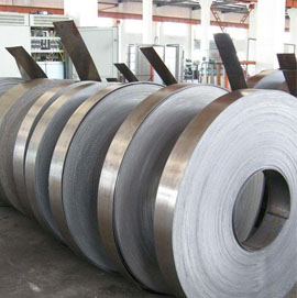 Stainless Steel 310S Strips Supplier in India
