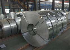 Stainless Steel 309 Strips Supplier in India