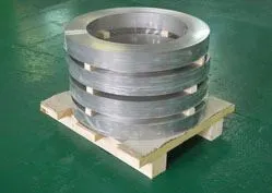 Stainless Steel Strips Supplier in India
