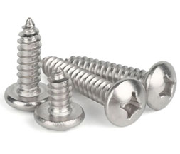  SS 304 Screw Supplier in India