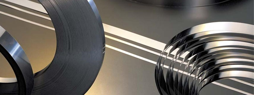 Stainless Steel 310s Strips Supplier & Stockist in India