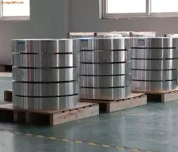 Stainless Steel 310s Strips Supplier