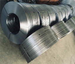 Stainless Steel 309 Strips Supplier