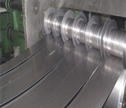 Stainless Steel 309 Strips Stockist in India
