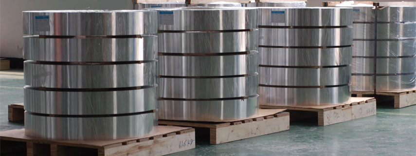 Stainless Steel 309 Strips Supplier in India