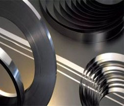 Stainless Steel 310s Strips Supplier in India